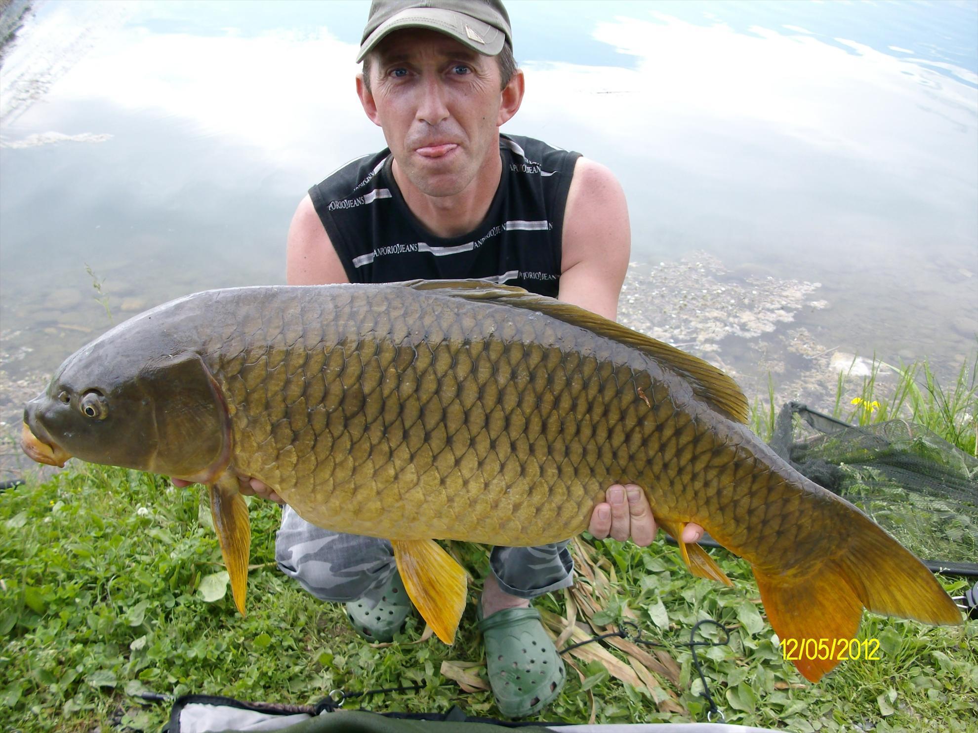 florian tanasa - alim0583.JPG